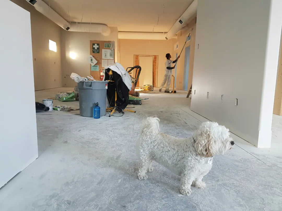 Renovation Traps: A Radiation Risk Guide to Stone and Tile Materials